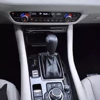 Mazda6 G194AT: Ohrožený druh