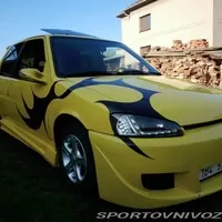 Bazarový snílek: Rychlí a zběsilí
