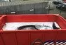 Jak se hasí doutnající automobil na baterie? Ponořením do vody!