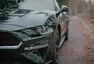 Ford Mustang Bullitt: Kupé na radost.