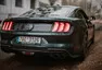 Ford Mustang Bullitt: Kupé na radost.