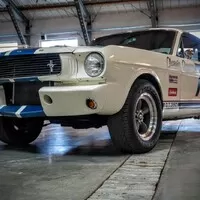 Autoshow 2019: Automobilové výstavnictví na křižovatce