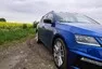 Škoda Octavia RS TDI 4x4: Služebák středního managementu