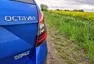 Škoda Octavia RS TDI 4x4: Služebák středního managementu