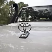 Toyota LC76: Vláčej mě bahnem a kamením!