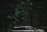 Range Rover Evoque: Perfektně zvládnutá evoluce