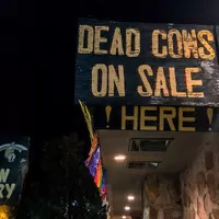 Nevada 2: Ještě více! Aneb; jak nezapadnout.