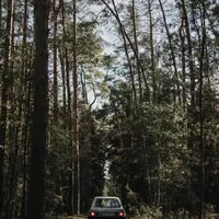 Ford Escort 1.3L (1981): V jednoduchosti je síla