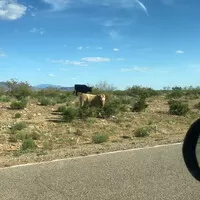 Nevada 3: To, co není v Nevadě, a návrat na zem...