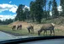 Nevada 3: To, co není v Nevadě, a návrat na zem...