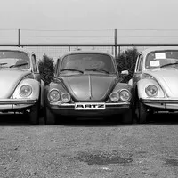VW Beetle Carrera