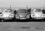 VW Beetle Carrera