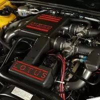 Lotus Calibra