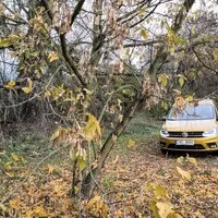 Volkswagen Caddy + Egoé NEST: Nejuniverzálnější automobil