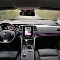 Renault Talisman Blue dCi 200 Initiale Paris: Ohrožený druh