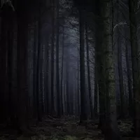 Autíčkářova vánoční soutěž: vyhodnocení