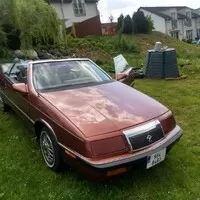 Autíčkář na lovu: Auto pod stromeček