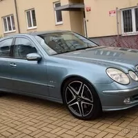 Bazarový snílek: Zadohrab pro šéfovou