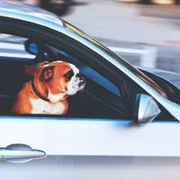 O ohleduplnosti, rozhledu a informovanosti