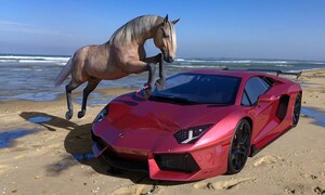 Autíčkář se ptá: Nakupujeme koně, aneb: Co jsem si měl koupit místo Camara?