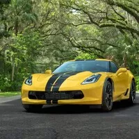 Autopůjčovna Hertz vyhlásila bankrot. Levně se zbavuje Chevroletů Corvette.