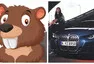 Obrázky z katalogu nového BMW řady 4 unikly před premiérou. Vůz vypadá jako bobr.