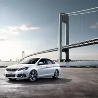 BMW jako ušlechtilý kůň a Peugeot jako krásná žena. Jaké názvy mají zavedené značky v Číně?