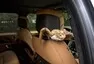 Range Rover ve čtyřech dějstvích aneb Cesta do Brna a zase zpátky