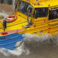 Kachní autobusy: Turistická atrakce s válečnou minulostí
