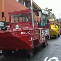 Kachní autobusy: Turistická atrakce s válečnou minulostí