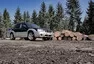 Subaru Baja: Kamarád s benefity