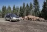 Subaru Baja: Kamarád s benefity