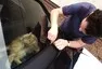 Ochrannou vrstvu doporučuji stahovat odprostřed a po kouskách, tedy zcela obráceně, než jsem činil já. 