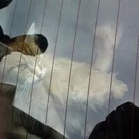 Po dobré práci následuje zasloužená siesta.