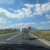IstanbulTrip: část 4.