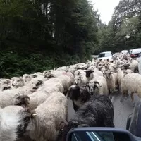 IstanbulTrip: část 4.