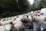 IstanbulTrip: část 4.