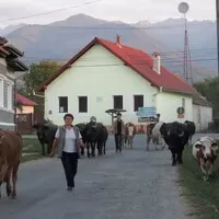 IstanbulTrip: část 4.