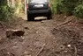 Range Rover Hybrid: Tohle auto prostě chcete