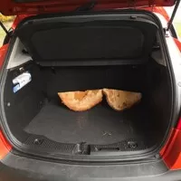 Opel Mokka – Křeček v pohorkách