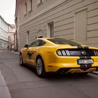 Ford Mustang GT: Gétéčko spořivého gentlemana