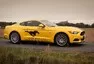 Ford Mustang GT: Gétéčko spořivého gentlemana