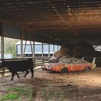 Raritní Charger Daytona zachráněný ze stodoly míří do aukce