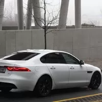 Jaguar XF 2.0: Kočka bez drápů