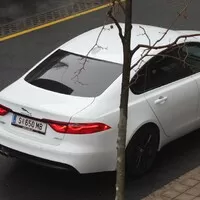 Jaguar XF 2.0: Kočka bez drápů