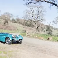 Bugatti za čtvrt miliardy na Amelia Island