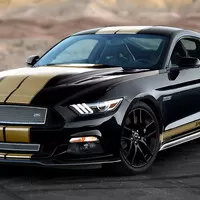Mustang z půjčovny se vrací!