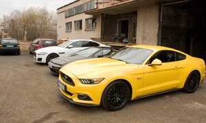 Kafe&Káry: Kafe&Káry na Sv. Jiří: Přijedou i hadi a štíři?