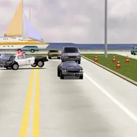 Virtuální volant: Driver