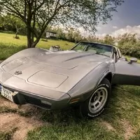 Chevrolet Corvette C3: Dva dny na sto